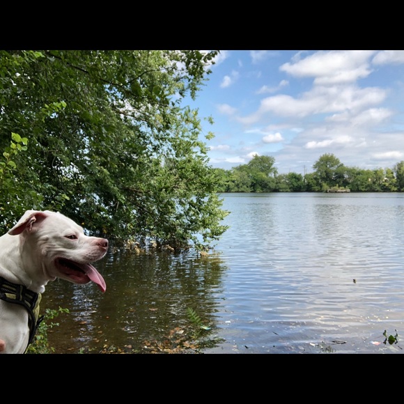 Meet your Posher, Sara - Picture 1 of 1